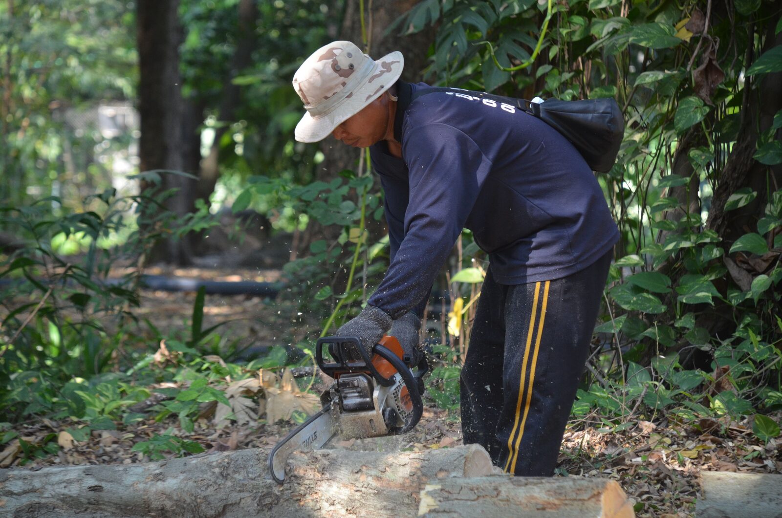 Tree trimming and yard cleanup
